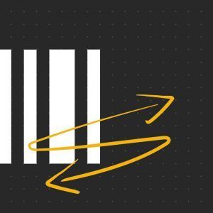Kyocera Barcode Flash y Multicode